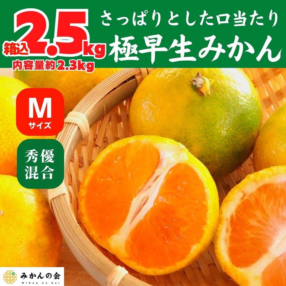 みかん(極早生)のお取り寄せ・贈答用なら玉ぞろい Mサイズ 箱込 2.5kg ( 内容量 2.3kg ) 秀優混合 有田みかん 和歌山県産  10月10日より出荷 │みかんの会