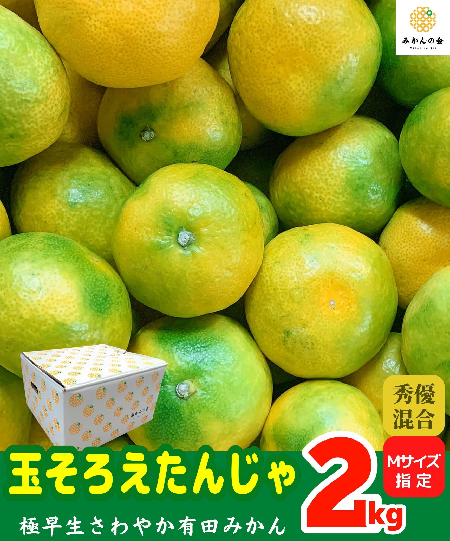 小玉ちゃん さわやか 極早生 2Sサイズ以下 2kg 有田みかん 秀優混合 和歌山県産