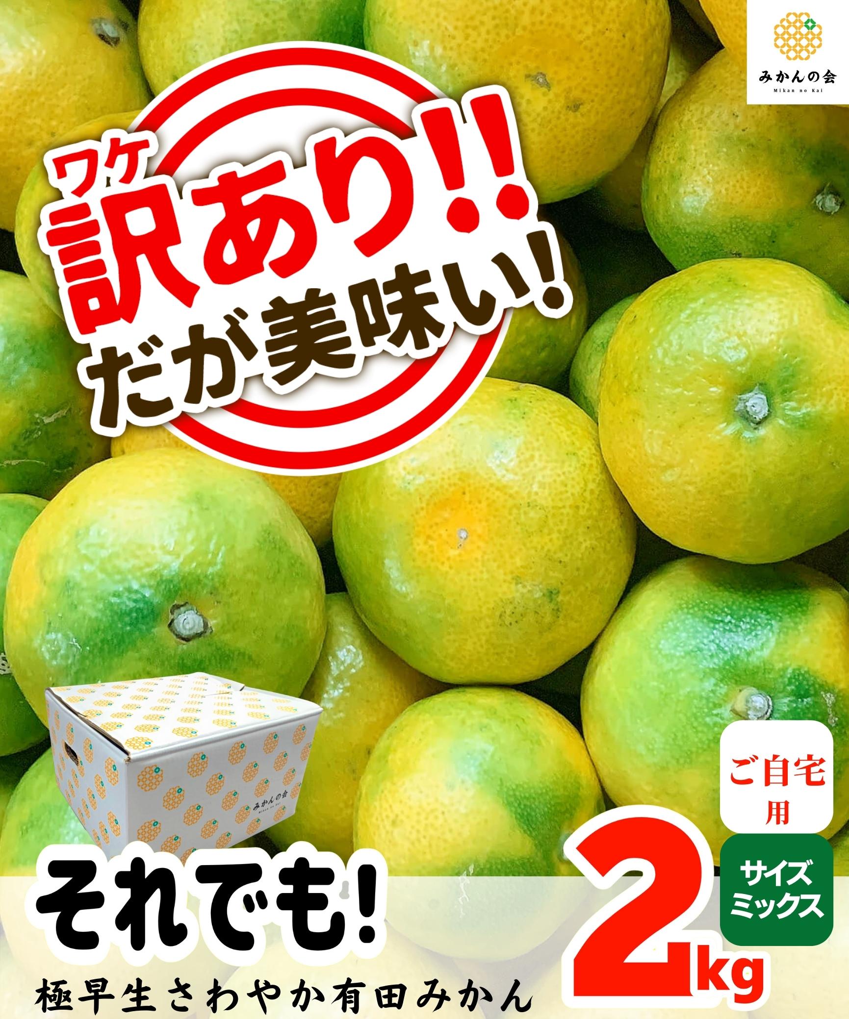 それでも さわやか 極早生 有田みかん 2kg 訳あり B品 サイズミックス 和歌山県産 【みかんの会】 | 株式会社みかんの会