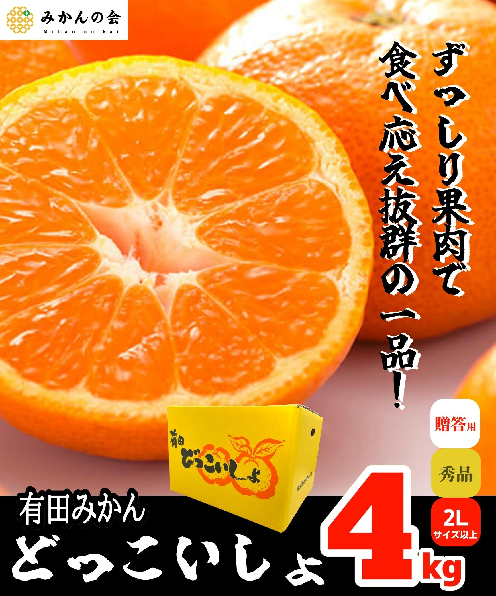 11月10日より発送】どっこいしょ 有田みかん 4㎏ 秀品 2L以上 和歌山県産 贈答用 【みかんの会】 | 株式会社みかんの会