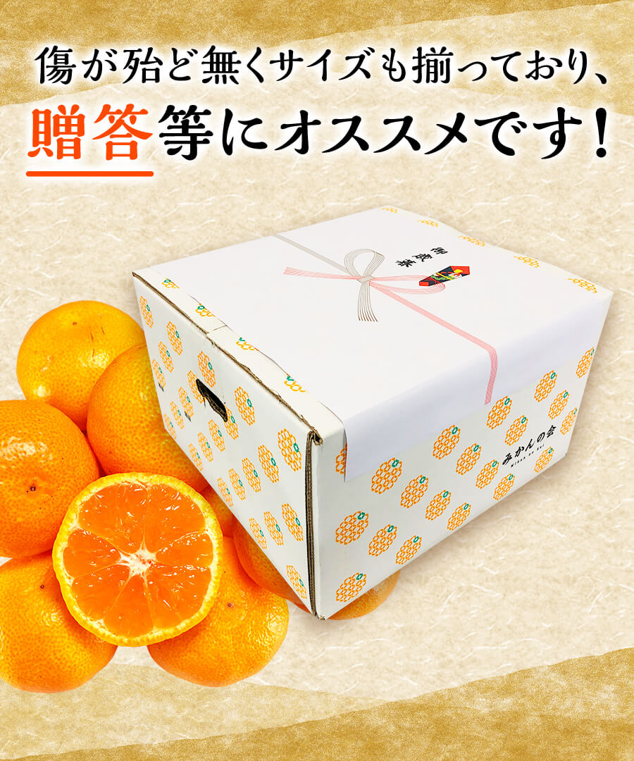 11月10日より発送】どっこいしょ 有田みかん 4㎏ 秀品 2L以上 和歌山県産 贈答用 【みかんの会】 | 株式会社みかんの会