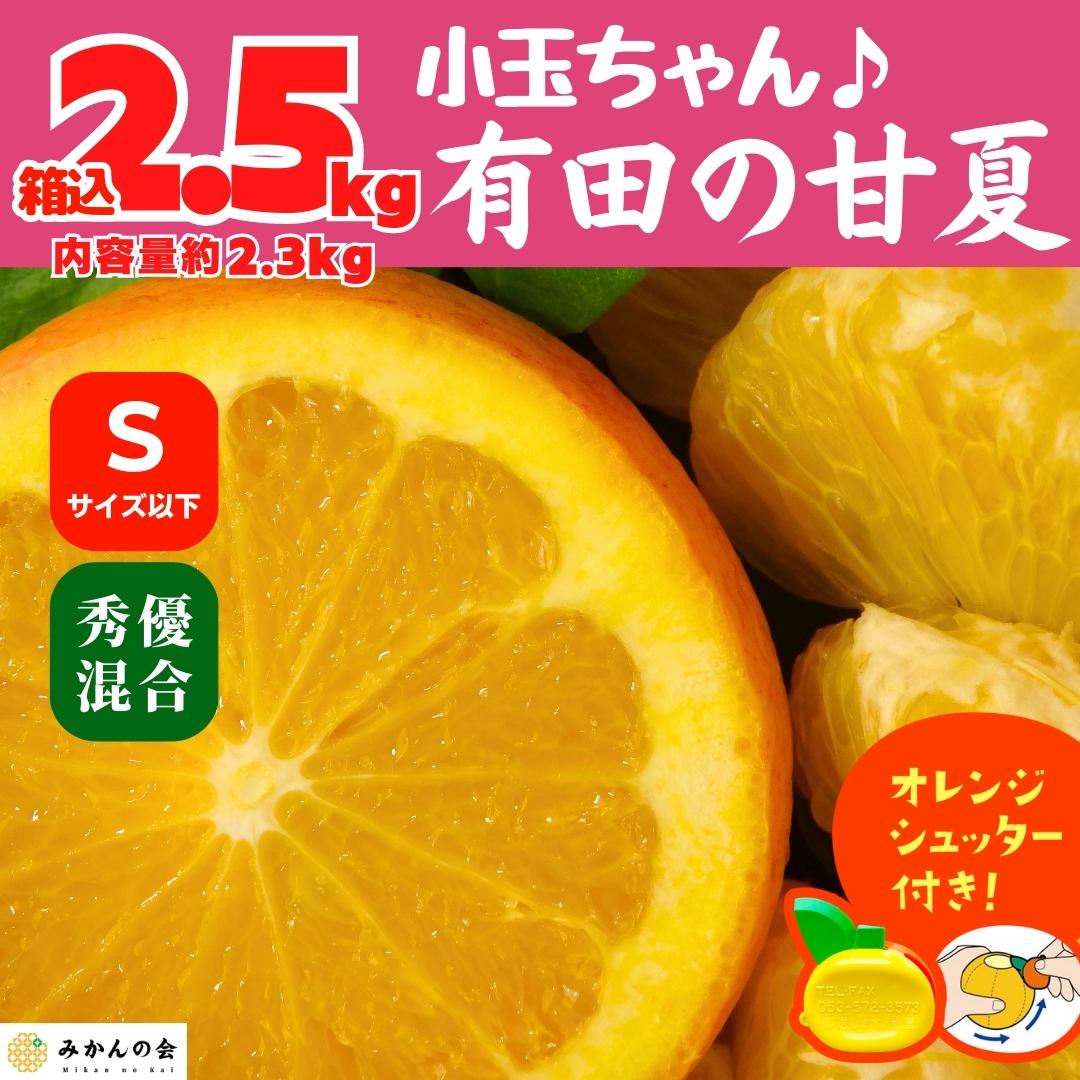 【おまけ付き】甘夏 小玉ちゃん 箱込 2.5㎏ (内容量約2.3㎏) 秀優品混合 Sサイズ以下 産地直送