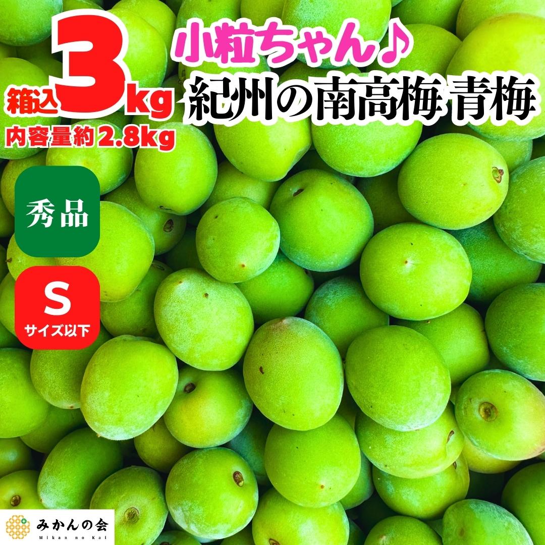 小粒ちゃん 紀州有田の 南高梅 青梅 箱込 3kg (内容量約2.8kg) 秀品 Sサイズ以下 和歌山県産 産地直送 クール便対応 梅酒作り用  梅ジュース作り用 【みかんの会】