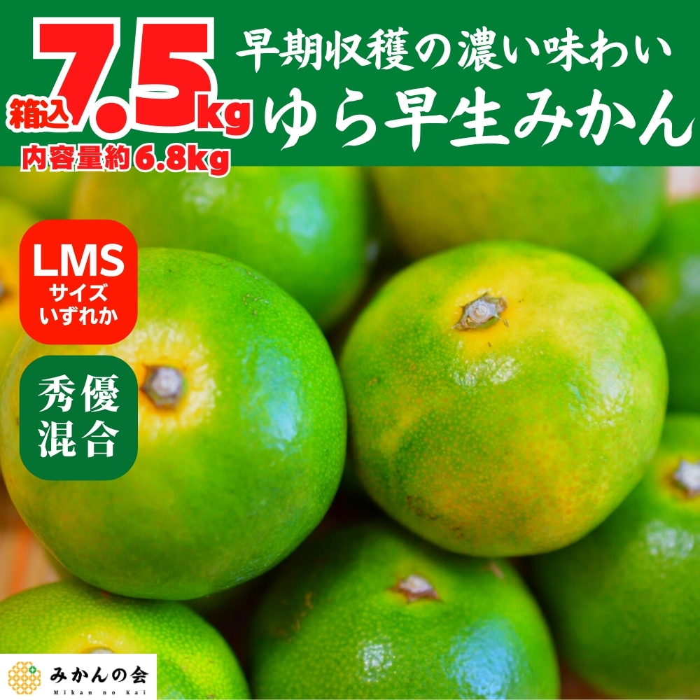 【10月20日より出荷】 ゆら早生 みかん 箱込 7.5kg ( 内容量 6.8kg ) S M Lサイズのいずれか 秀品 優品 混合 和歌山県産  有田みかん